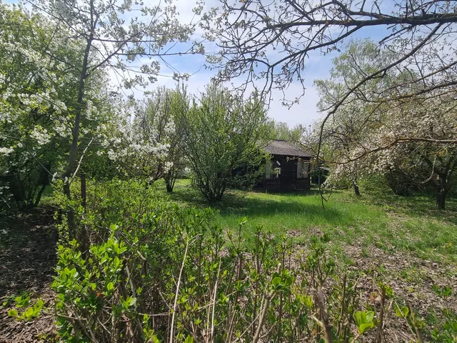 Eladó telek Szeged-Hattyas 778 nm