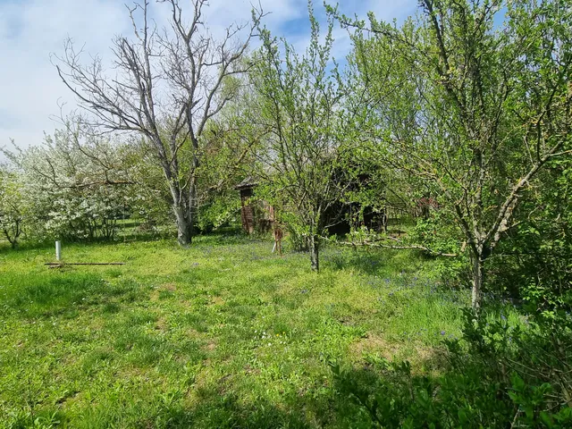 Eladó telek Szeged-Hattyas 778 nm