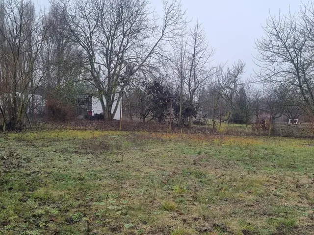 Eladó telek Újszentiván 850 nm