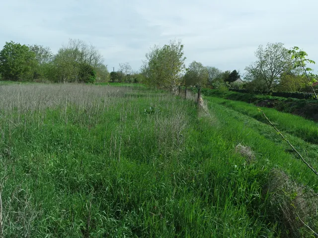 Eladó telek Szeged, Szentmihály 1090 nm
