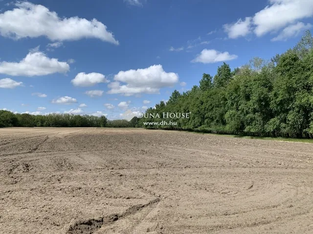Eladó mezőgazdasági ingatlan Lajosmizse 5755 nm