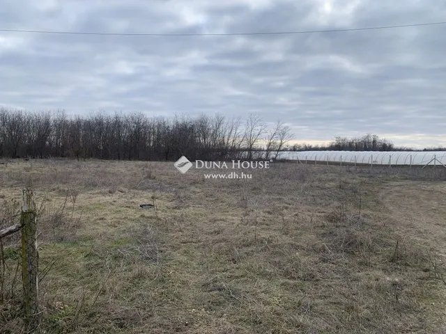 Eladó telek Dánszentmiklós 7020 nm