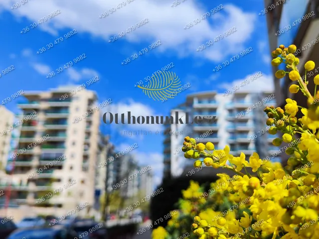 Kiadó lakás Budapest XIII. kerület, Angyalföld 58 nm