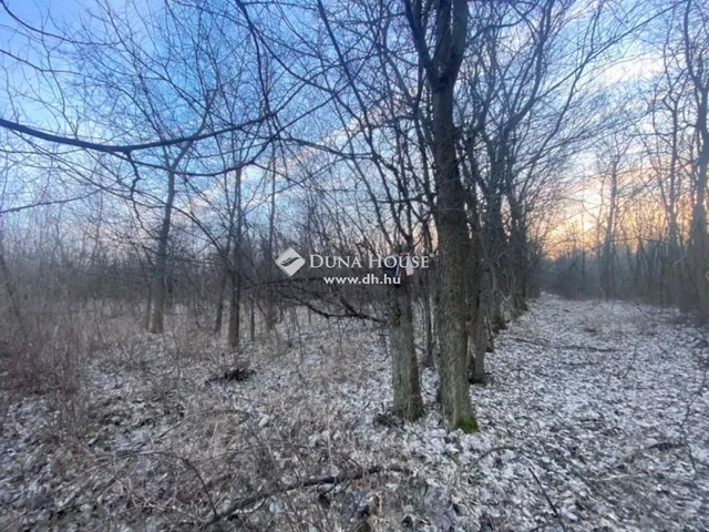 Eladó telek Tápióbicske 1683 nm