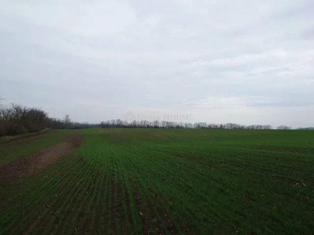 Eladó telek Bénye 53533 nm