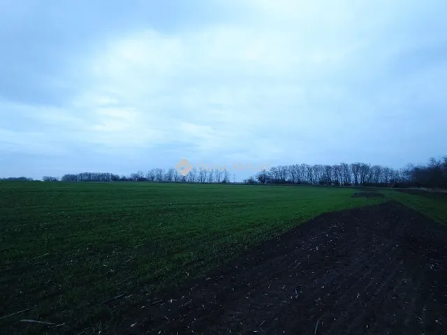 Eladó telek Bénye 53533 nm