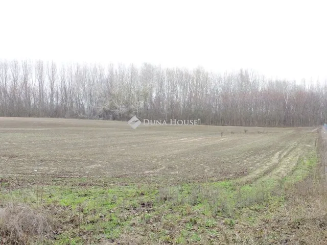 Eladó telek Pilis 8069 nm