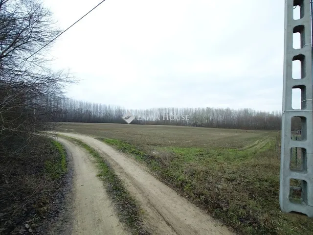 Eladó telek Pilis 8069 nm