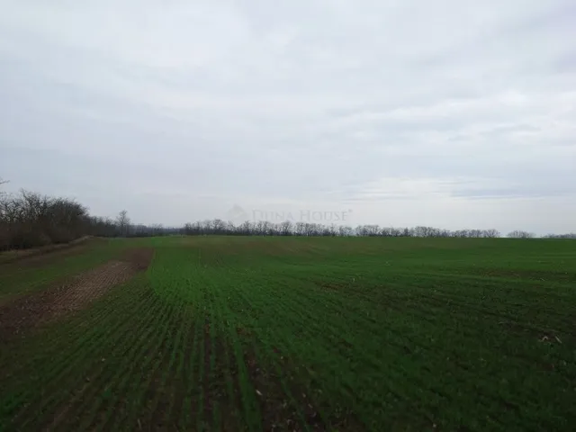 Eladó telek Bénye 53533 nm