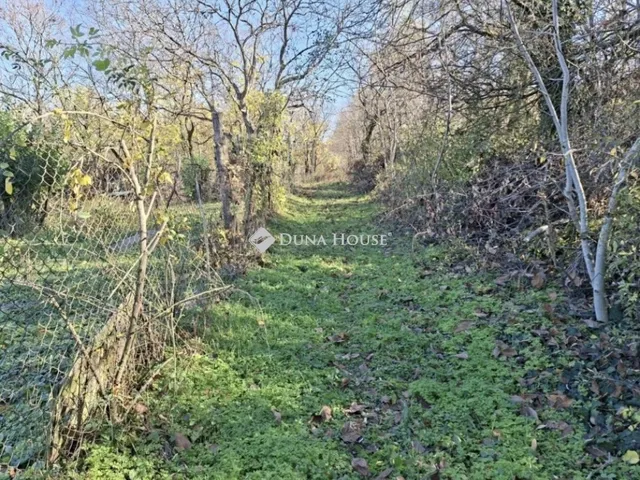 Eladó telek Budapest XVII. kerület 500 nm