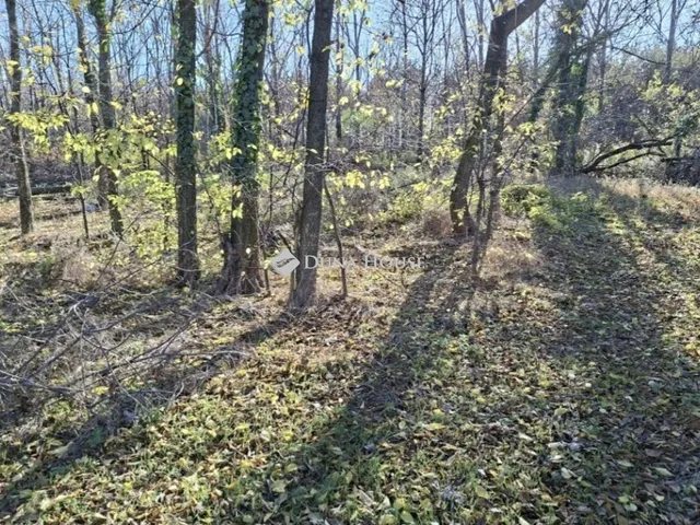 Eladó telek Budapest XVII. kerület 500 nm