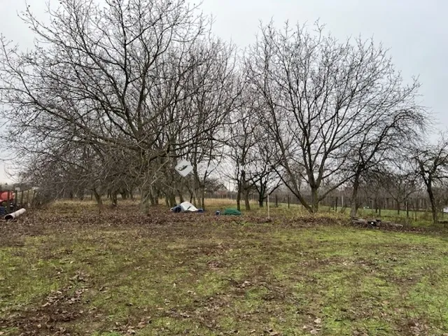 Eladó ház Pilis 45 nm