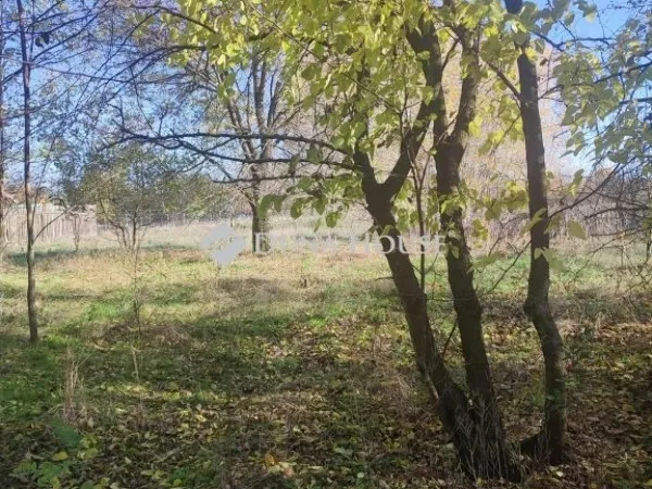 Eladó telek Nyáregyháza 2974 nm