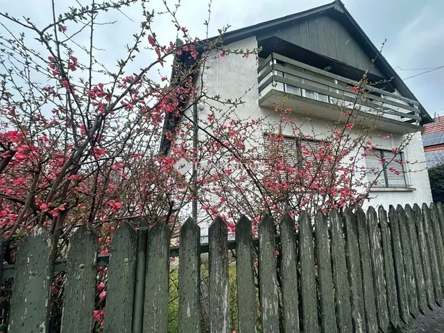 Eladó ház Albertirsa 110 nm