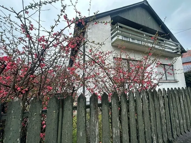 Eladó ház Albertirsa 110 nm