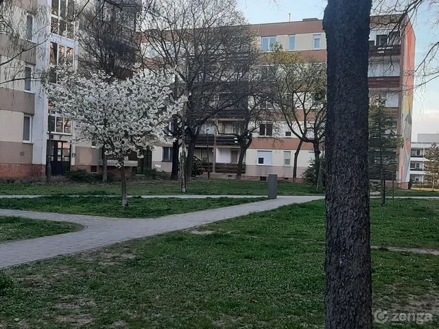 Kiadó lakás Veszprém, Belváros 44 nm