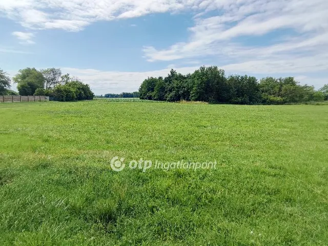 Eladó telek Fehértó 8400 nm