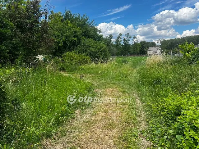 Eladó telek Ásványráró 2482 nm