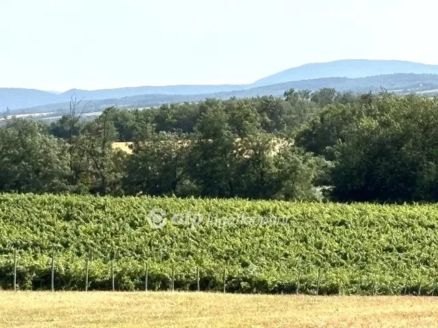 Eladó telek Bársonyos 1705 nm