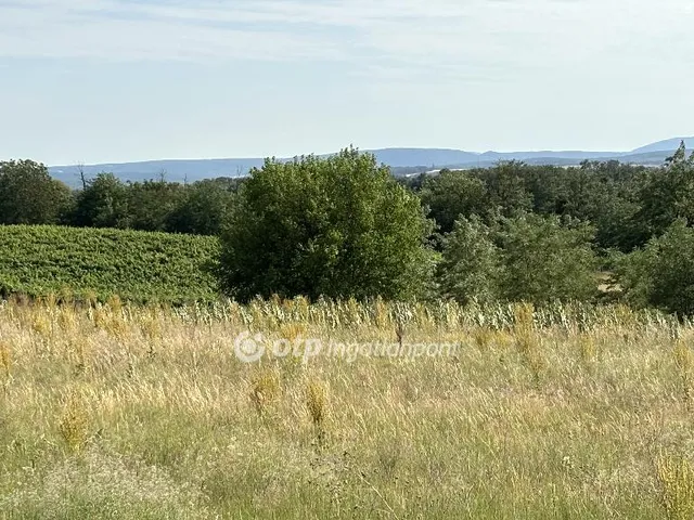 Eladó telek Bársonyos 1705 nm