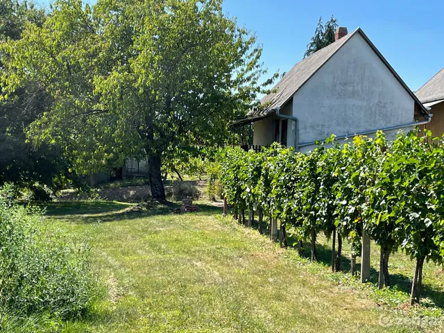 Eladó mezőgazdasági ingatlan Becsehely 1950 nm