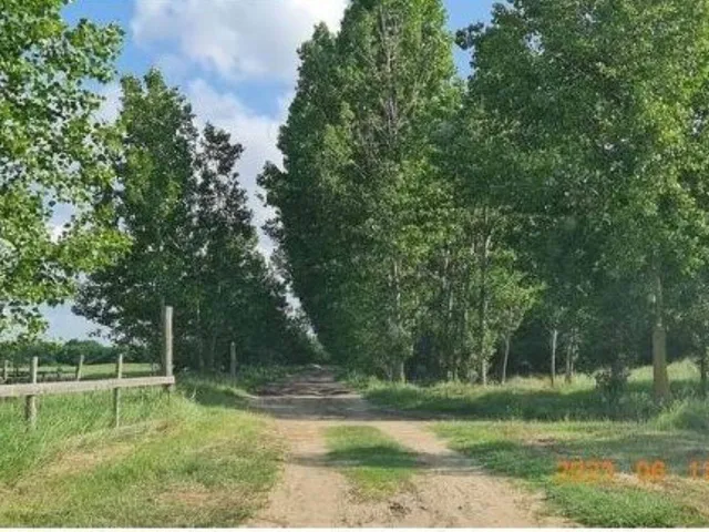 Eladó mezőgazdasági ingatlan Mikepércs 6305 nm