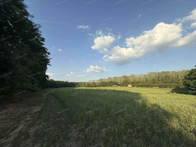 Eladó mezőgazdasági ingatlan Anarcs 30000 nm