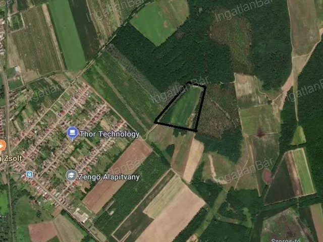 Eladó mezőgazdasági ingatlan Anarcs 30000 nm