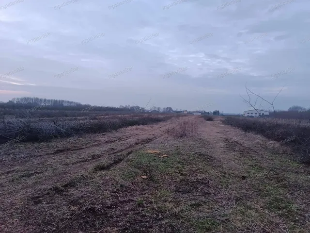 Eladó telek Nyíregyháza 38097 nm