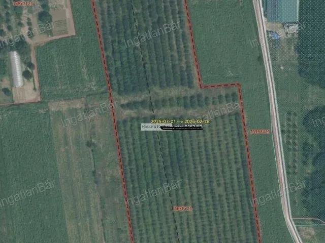 Eladó telek Nyíregyháza 38097 nm