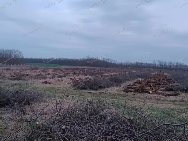 Eladó telek Nyíregyháza 38097 nm