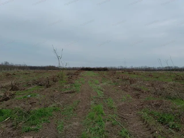 Eladó telek Nyíregyháza 38097 nm