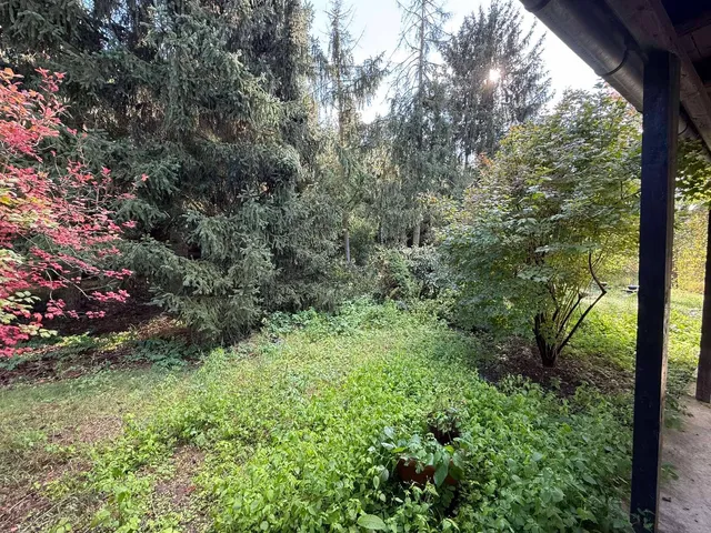 Eladó mezőgazdasági ingatlan Napkor 65 nm