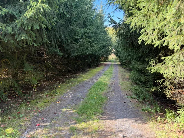 Eladó mezőgazdasági ingatlan Napkor 65 nm