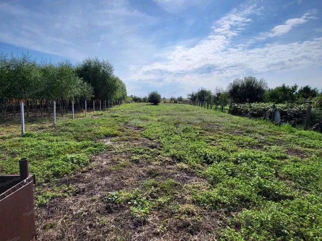 Eladó ház Tyukod 77 nm