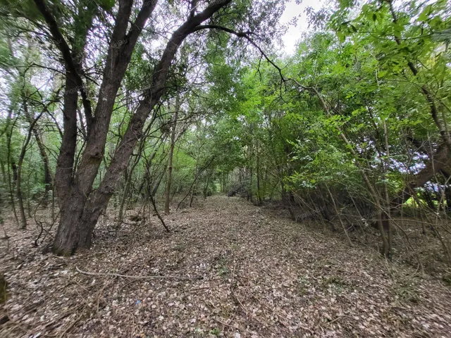 Eladó mezőgazdasági ingatlan Tiborszállás 113000 nm