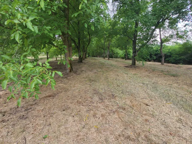 Eladó mezőgazdasági ingatlan Mánd 60 nm