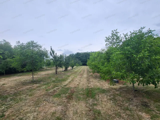 Eladó mezőgazdasági ingatlan Mánd 60 nm