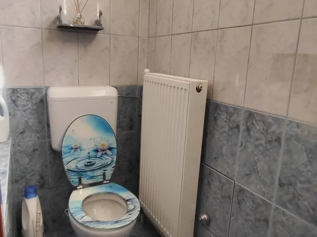 Eladó ház Ópályi 92 nm