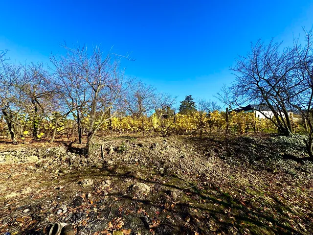 Eladó ház Tarcal 120 nm