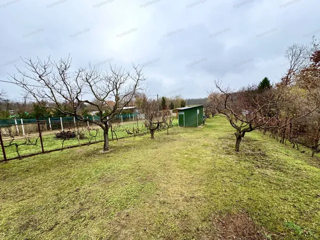 Eladó mezőgazdasági ingatlan Nyírpazony 1336 nm