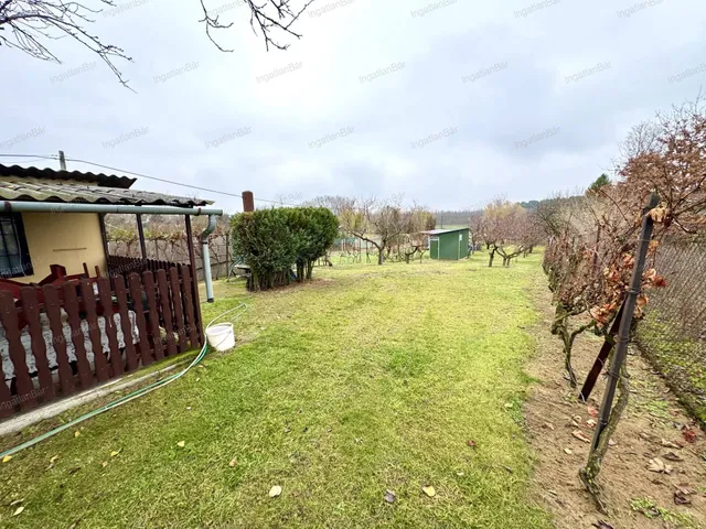 Eladó mezőgazdasági ingatlan Nyírpazony 1336 nm