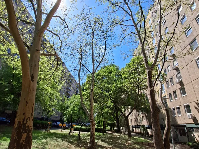 Eladó lakás Budapest XIX. kerület, Kispest 59 nm