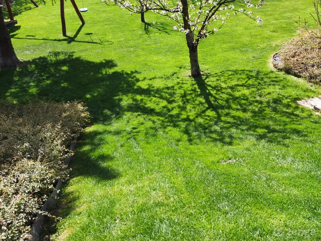 Eladó ház Solymár 210 nm