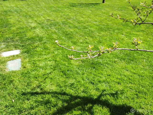 Eladó ház Solymár 210 nm