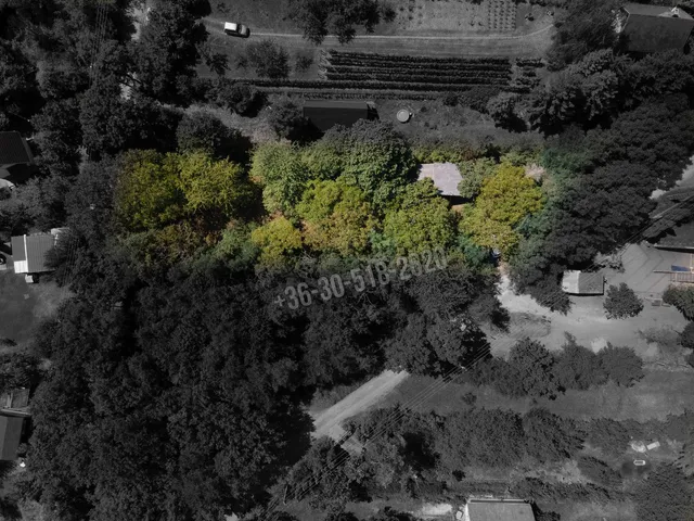 Eladó telek Kismaros, Külterület 1040 nm