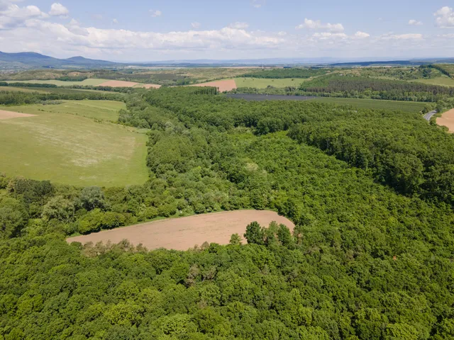 Eladó telek Nógrád 44171 nm