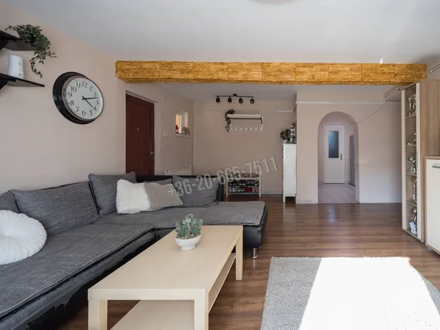 Eladó lakás Gyál 160 nm