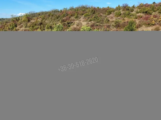 Eladó kereskedelmi és ipari ingatlan Kisecset 215 nm