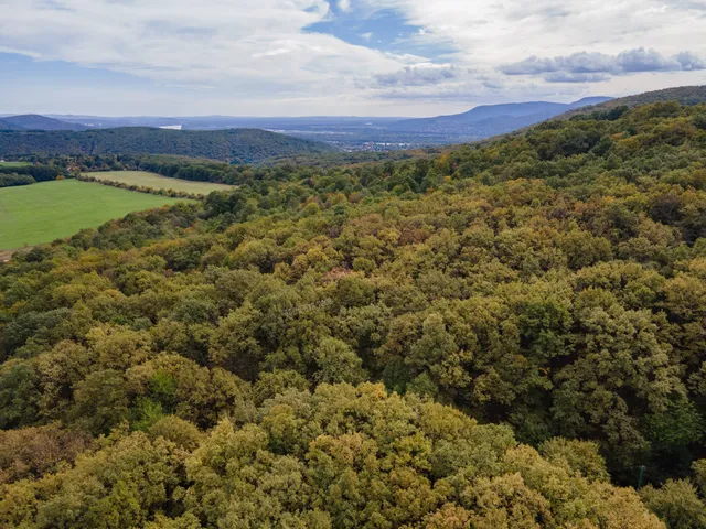 Eladó telek Kismaros, Börzsönyliget 1120 nm